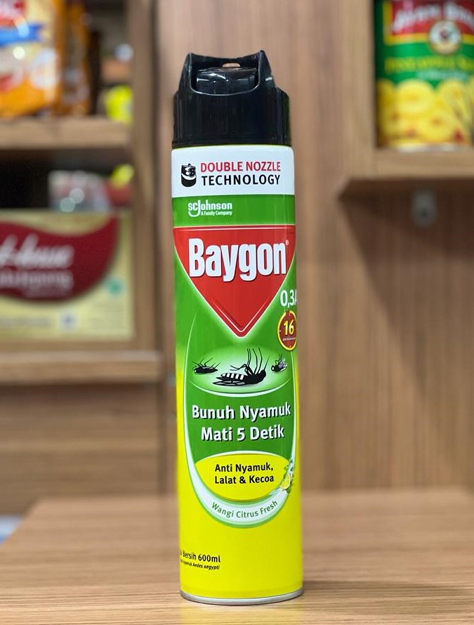 Baygon Aerosol 600 ml di SRC Dava Lubuk Pakam